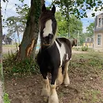Romantique Dans Le Chateau De La Bouchatte Chazemais