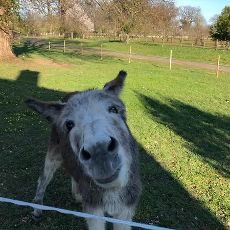 Guest house Romantique Dans Le Chateau De La Bouchatte
