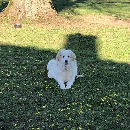 Romantique Dans Le Chateau De La Bouchatte Guest house