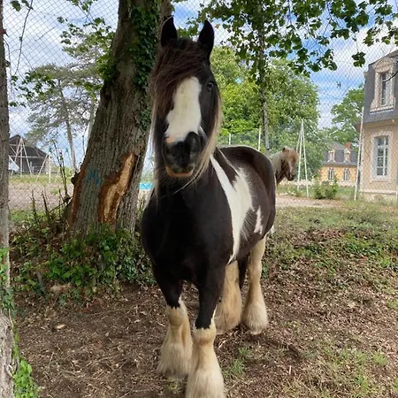 Romantique Dans Le Chateau De La Bouchatte Chazemais