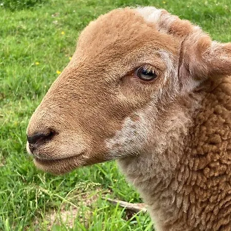 Guest house Romantique Dans Le Chateau De La Bouchatte