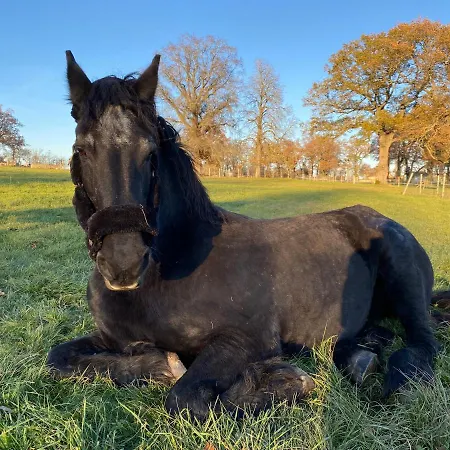 Romantique Dans Le Chateau De La Bouchatte Chazemais